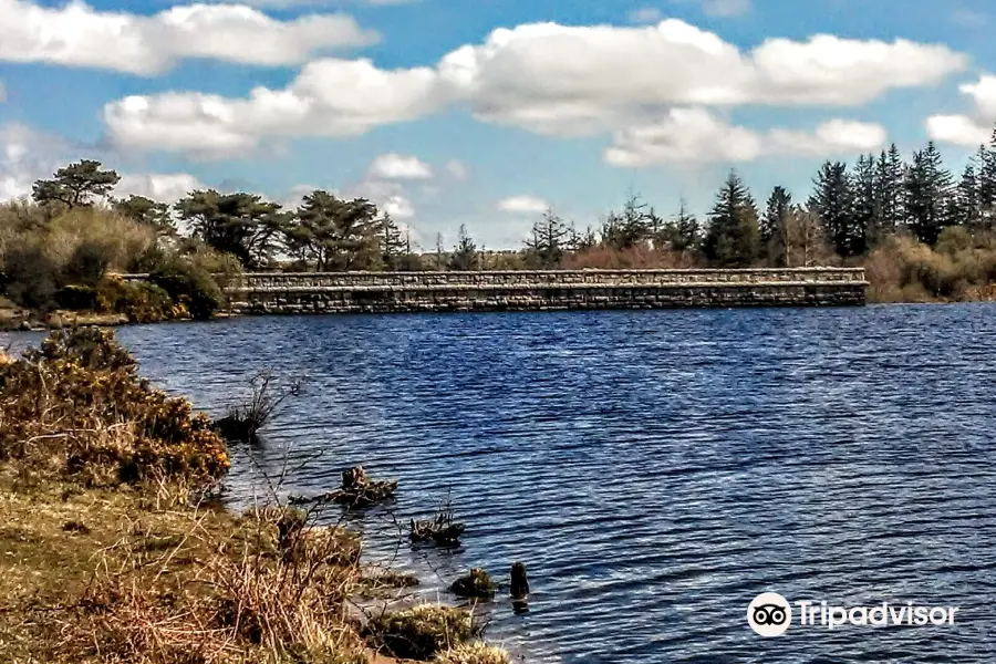 Fernworthy Reservoir