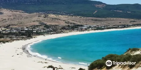 博洛尼亞海灘 Playa de Bolonia