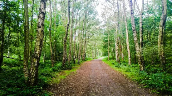 Beacon Hill Country Park