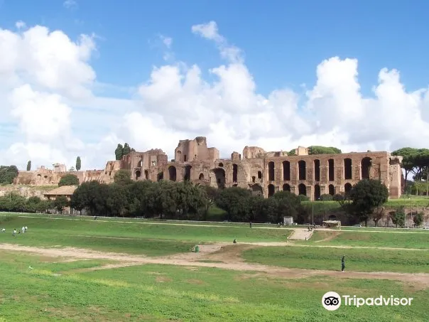 1_กีร์กุสมักซิมุส