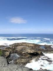 Kilkee Cliff Walk