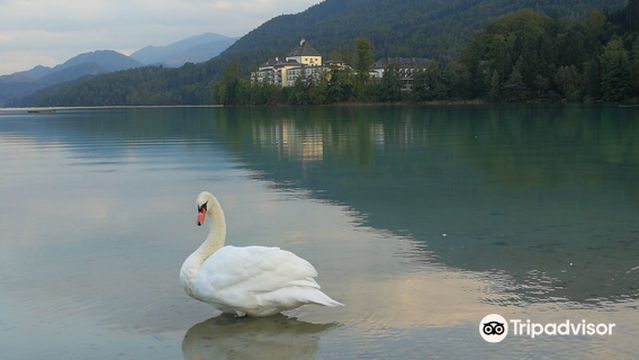Hofer Naturbadestrand