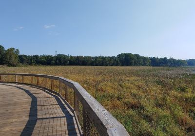 Potomac Heritage National Scenic Trail Neabsco Creek Boardwalk