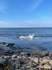 Robert G. Wehle State Park