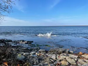 ロバート G. ウェエレ州立公園