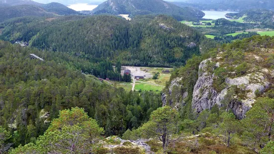 Svartfjellet