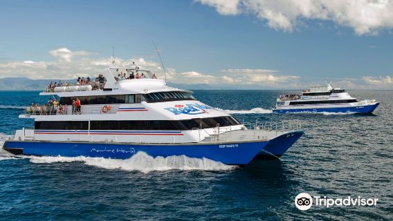 Croisière Excursion d'une journée au Cairns Fantasy Reef : 5 heures en profondeur avec hélicoptère en option