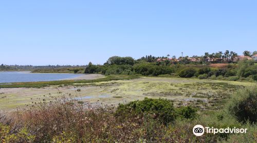 Upper Newport Bay Nature Preserve