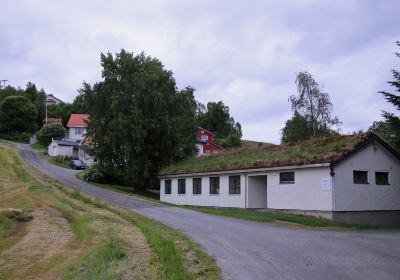 Sivert Aarflot Museum