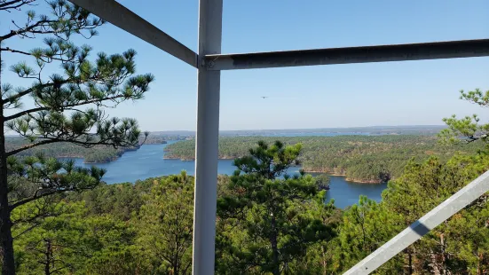 Smith Mountain Fire Tower