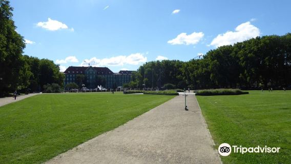 Jasne Blonia Square