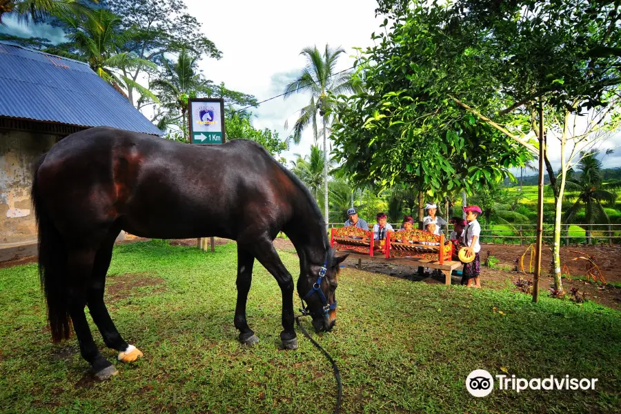 Ubud Horse Stables