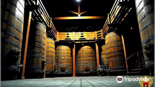 Winery Patria