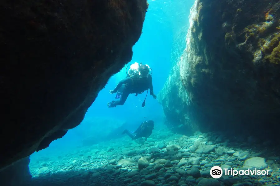 Navy's Waterworld Dive Center