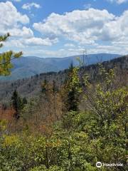 Mt Cammerer Fire Tower