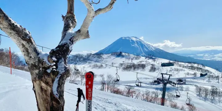 Niseko Annupuri 醜く 50h リフト券 2025年 ニセコ アンヌプリ