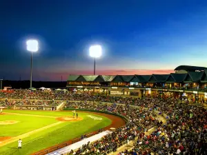 Somerset Patriots