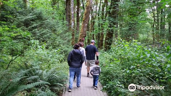 Tryon Creek State Natural Area