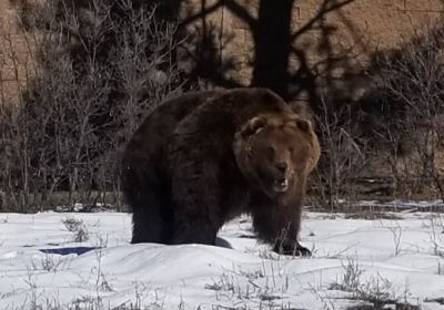 Rocky Mountain Wildlife Park