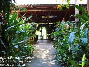 Jungle Crocodile Safari & Bird Watching Tour