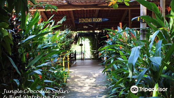 Jungle Crocodile Safari & Bird Watching Tour/ Tarcoles River CR