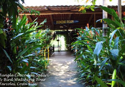 Jungle Crocodile Safari & Bird Watching Tour