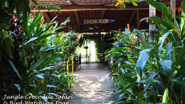 Jungle Crocodile Safari & Bird Watching Tour/ Tarcoles River CR