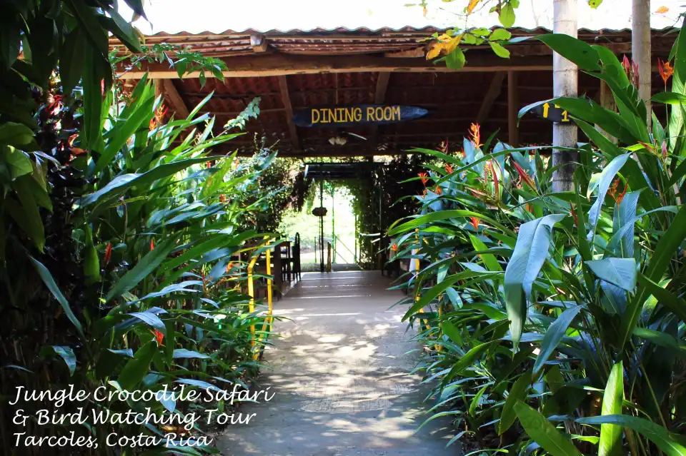 1_Jungle Crocodile Safari & Bird Watching Tour/ Tarcoles River CR