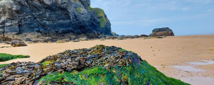 Mawgan Porth Beach