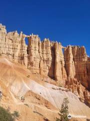 Canyon Trail Rides