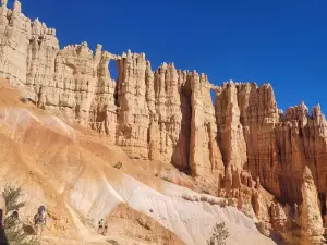 Canyon Trail Rides