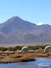 Salar de Surire