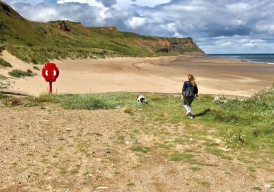 Cattersty Sands Beach