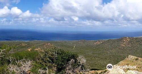 Bonaire National Marine Park