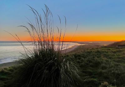 St Cyrus Beach