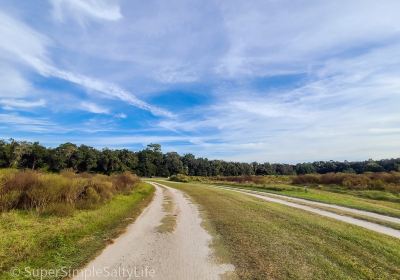 San Felasco Hammock State Park