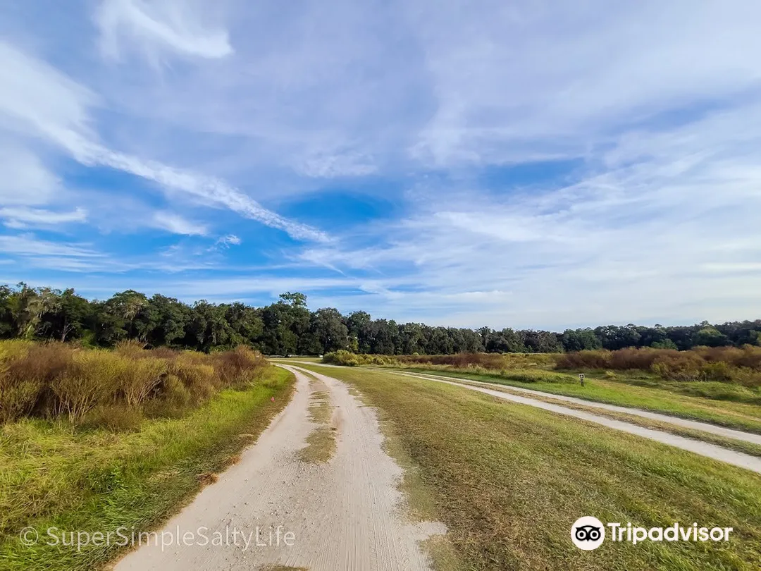 3_San Felasco Hammock Preserve State Park