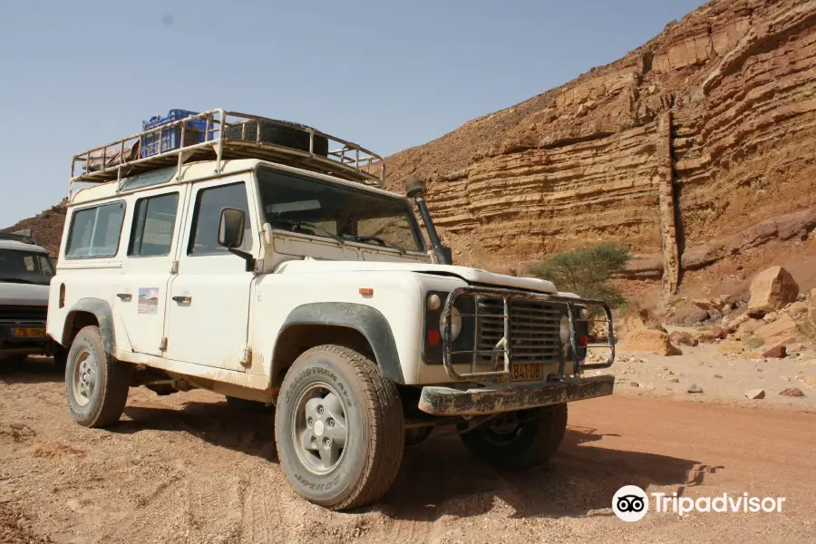 Negev Jeep