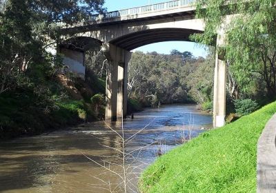 Yarra Bend Park