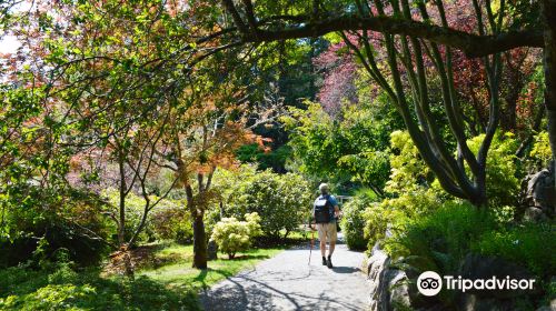 Japanese Garden