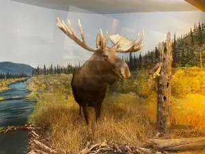 Kluane Museum of History