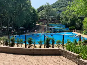南大河州的熱門溫泉景點