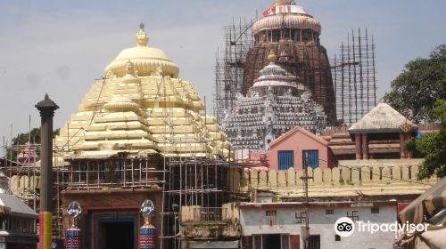 Shree Jagannatha Temple Puri