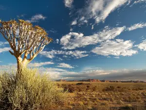 Richtersveld National Park