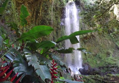 BAJO MONOd CAMPING SITE, BOQUETE