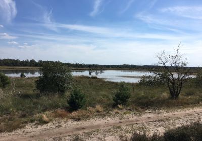 Strabrechtse Heide