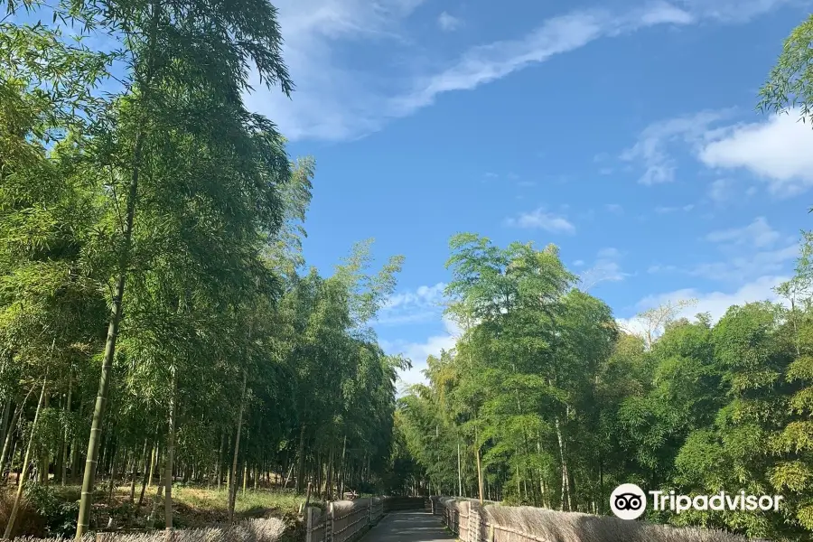 Bamboo Path (Take-no-michi)