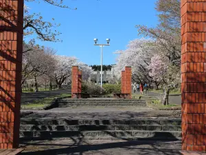 Morimachi Oniushi Park