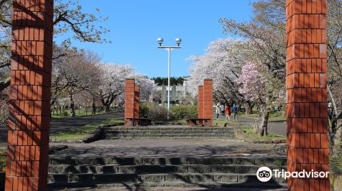 Morimachi Oniushi Park