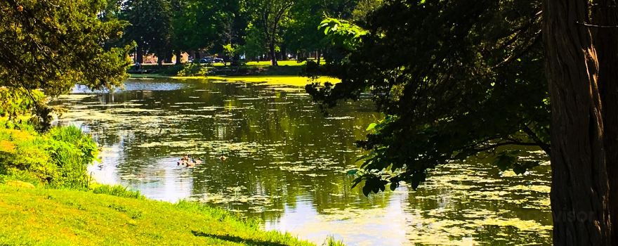 Gage Park